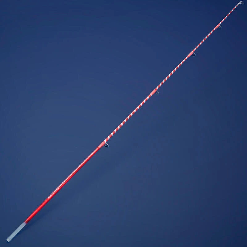 CANNE AU POSE SEACOAST LIGHT 500 350 MULTITIP TELESCOPIQUE PECHE EN MER â Image 10